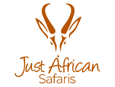 Just African Safaris
