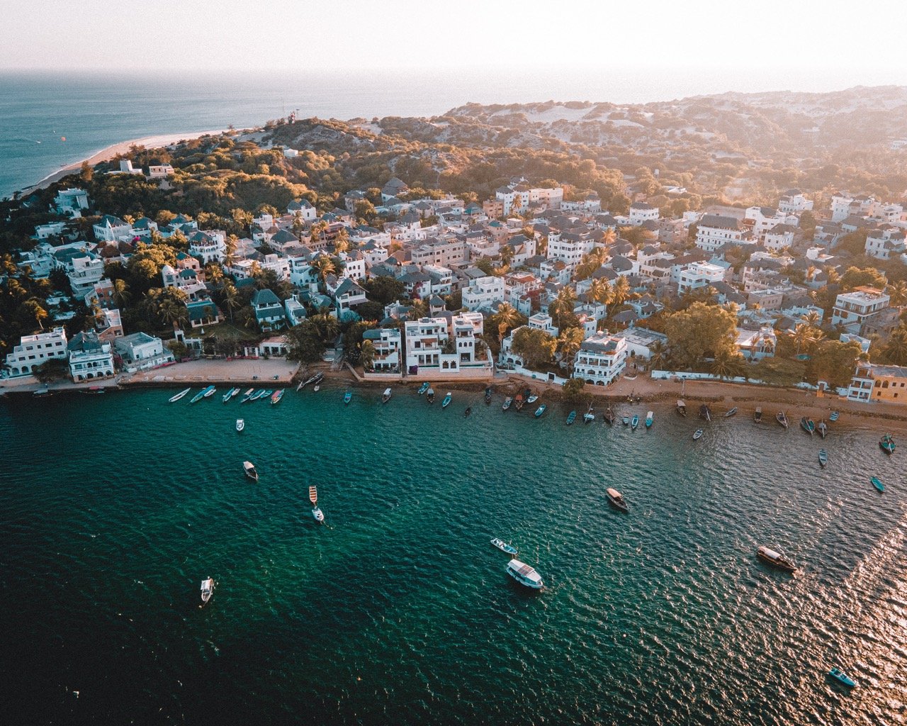 Aerial view of a picturesque coastal town with numerous houses nestled among greenery