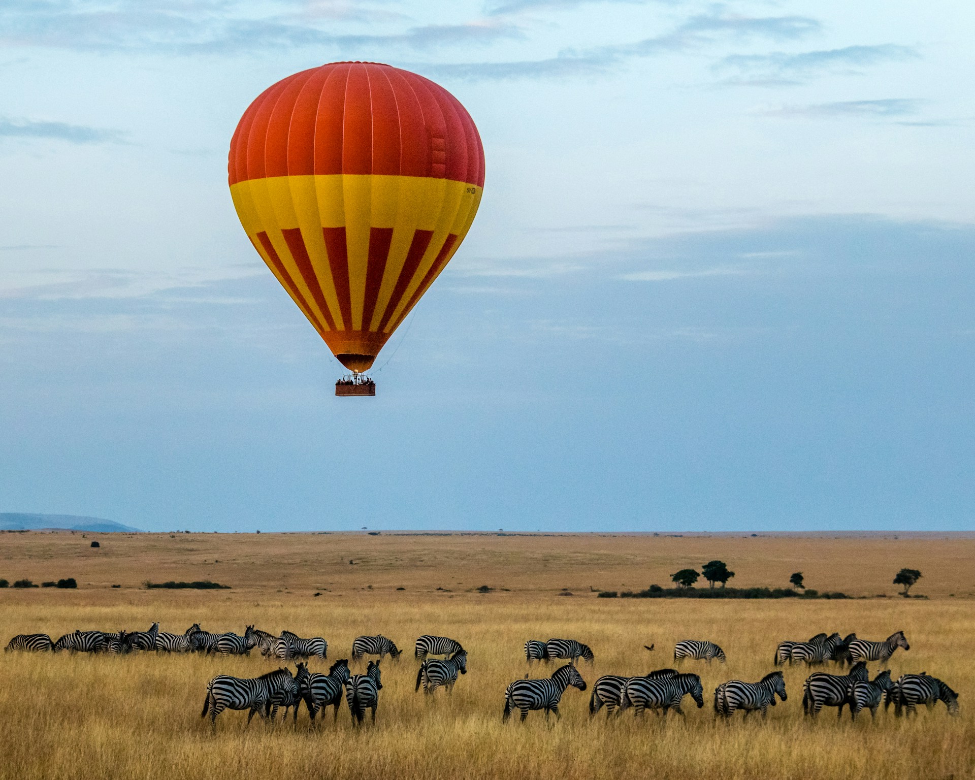 Hot air ballon drives over a heard of wildbeast
