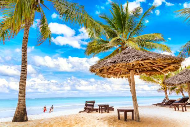 A vibrant tropical beach scene with turquoise water, white sandy shore, and numerous palm trees  In Kenya