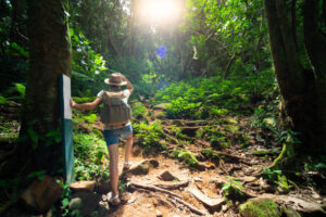 back view woman hiking in tropical rainforest sunlight hot humid