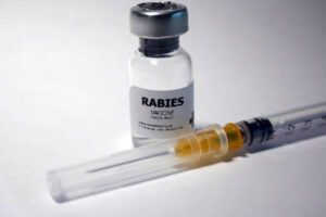 Rabies vaccine - administration of antigenic material (vaccine) to stimulate an individual's immune system to develop adaptive immunity to a pathogen.