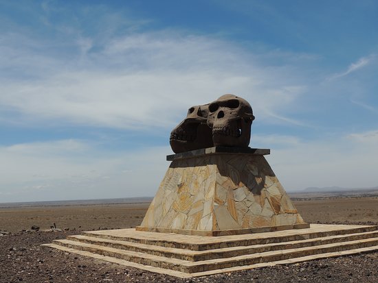 two skull remains of the early man in olduvai gorge