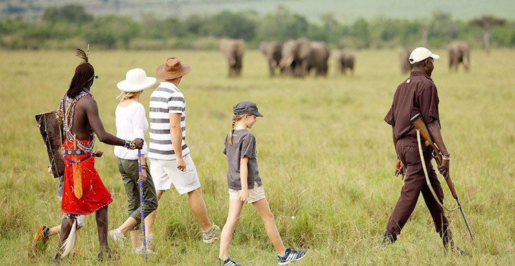 Guided walking safari in ruaha national park