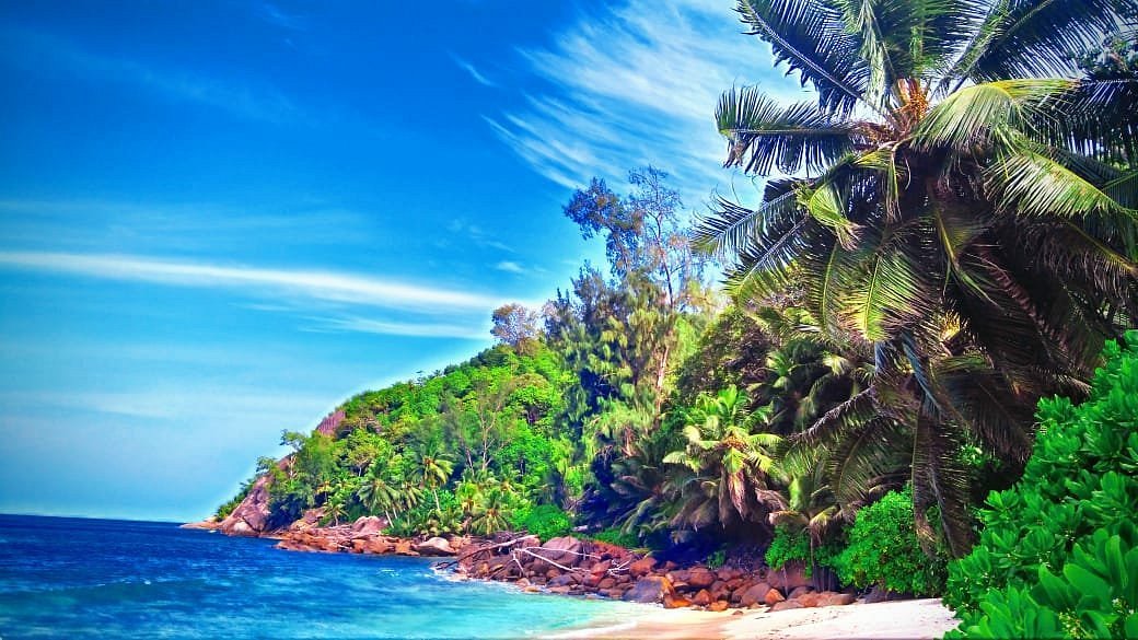 Anse Marie-Louise Beach in Seychelles featuring palm trees and a picturesque blue sky on a tropical beach.