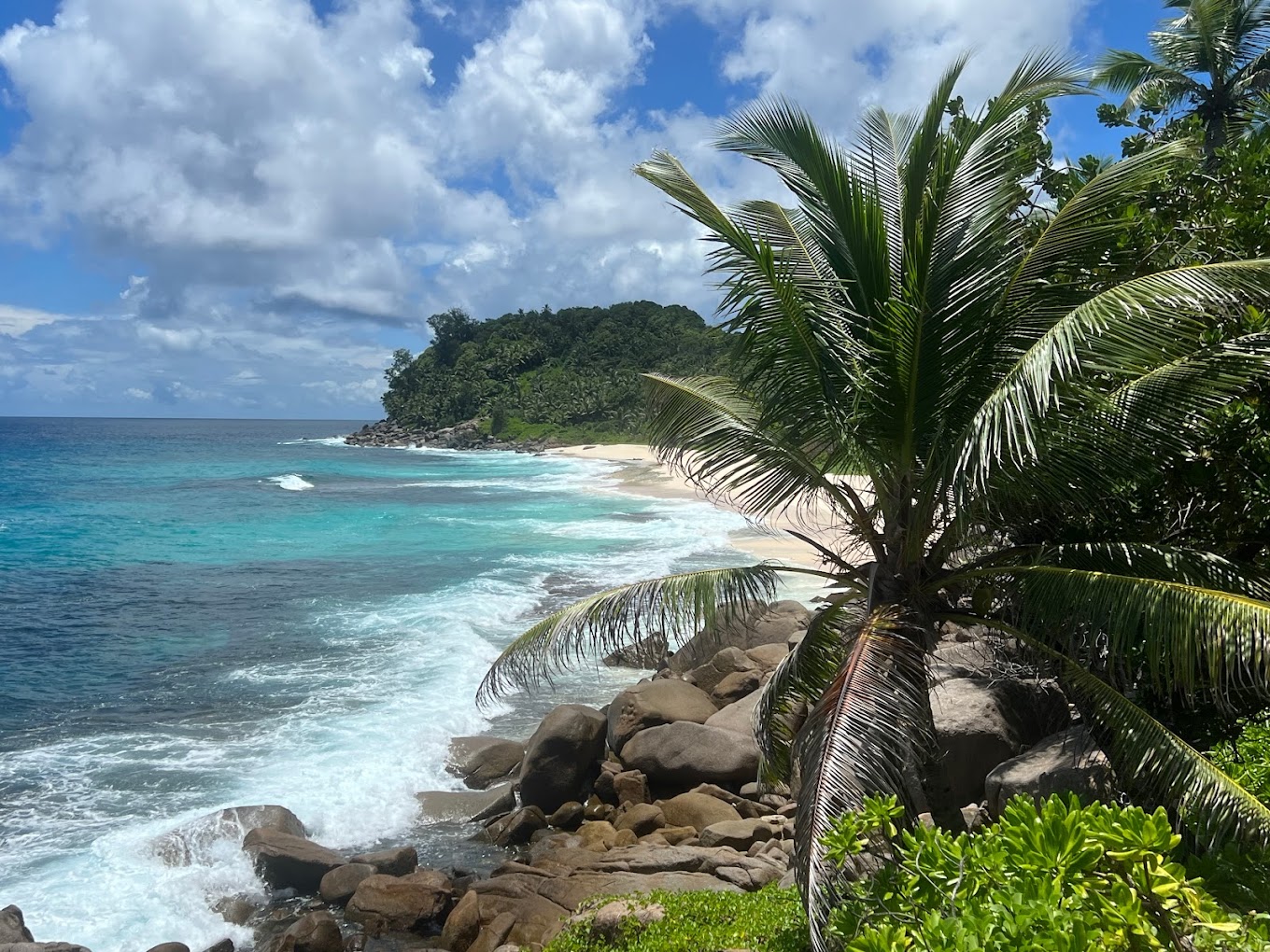 A scenic beach with palm trees and rocks on the shore at Anse Takamaka Beach in Seychelles.
