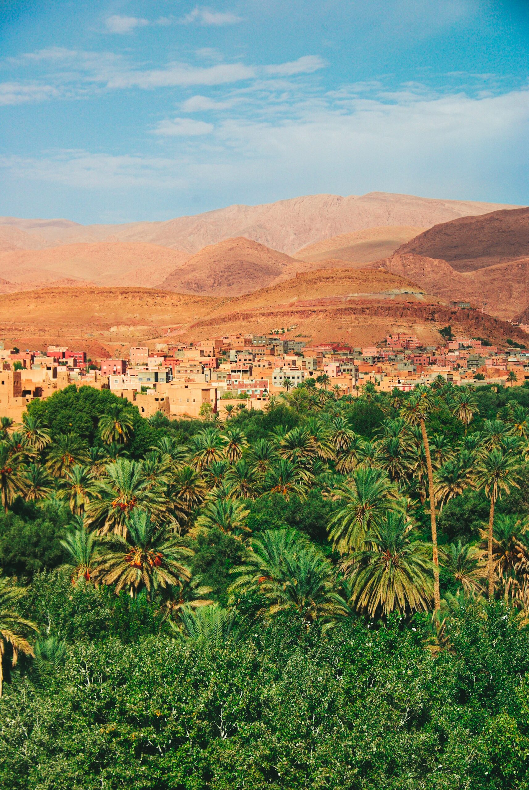 Figuig Oasis, Morocco: city with palm trees and a mountain in the background.
