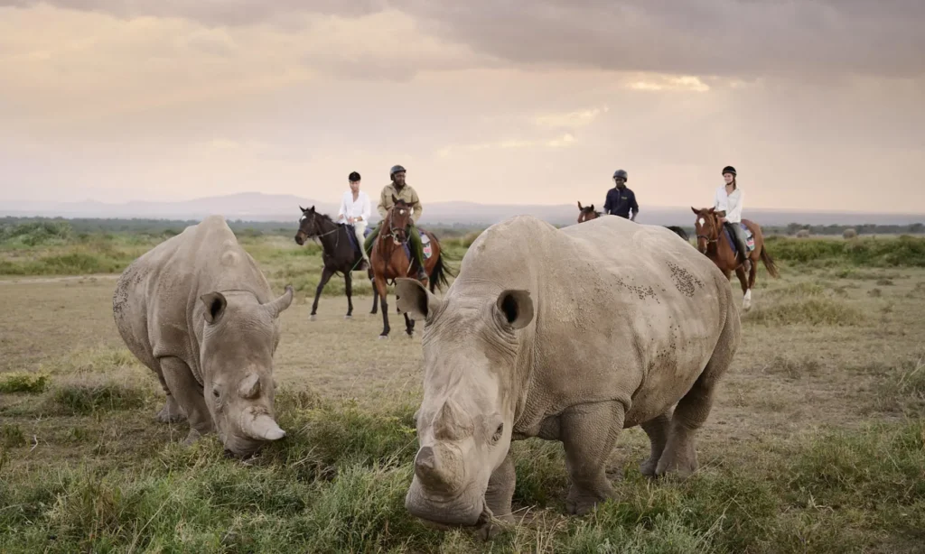 Horseback Safaris in Ol Pejeta Conservancy
