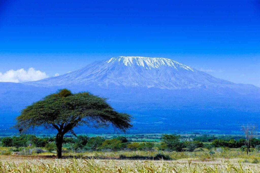 Journey From Serengeti To Mt Kilimanjaro