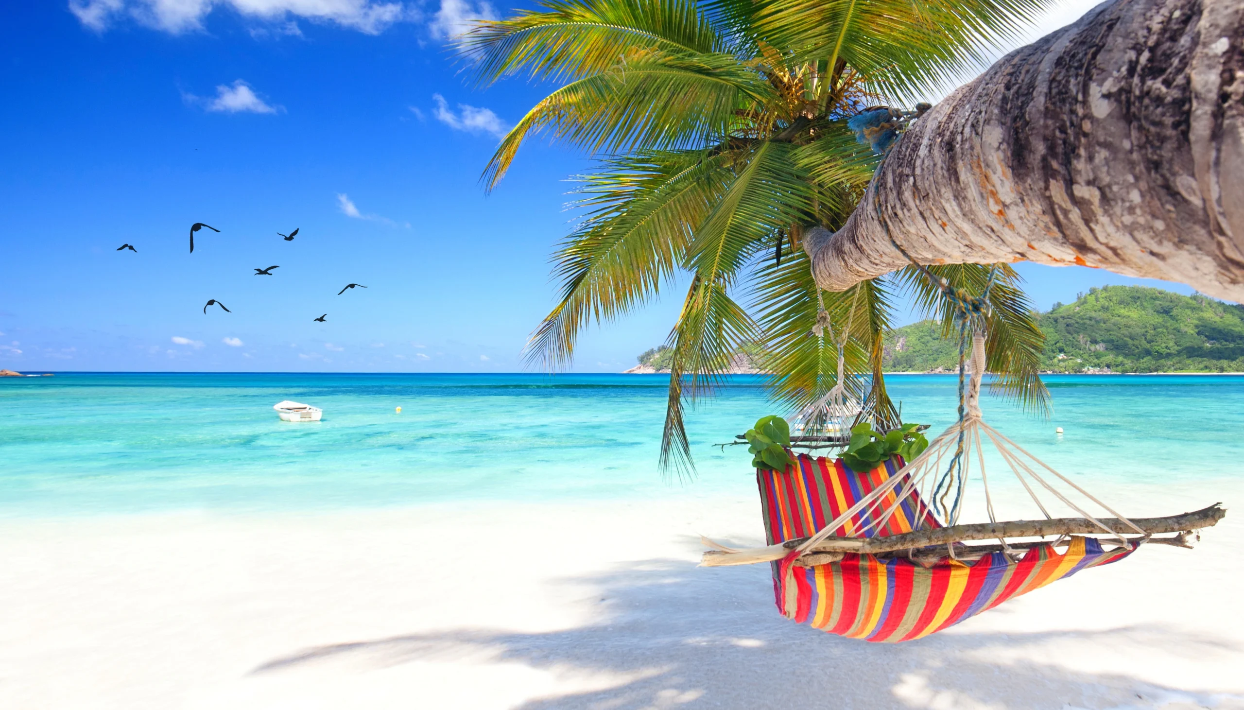 A hammock hanging from a palm tree on a tropical beach, Mahe Island tour.