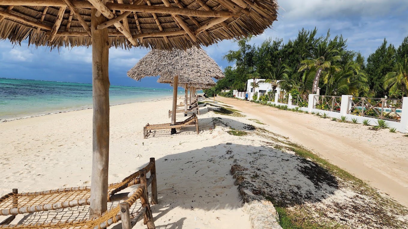 Beach chairs and colorful umbrellas arranged neatly along the sandy shores of Makunduchi Beach, inviting relaxation.