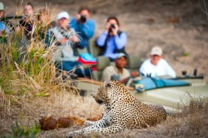Chobe National Park