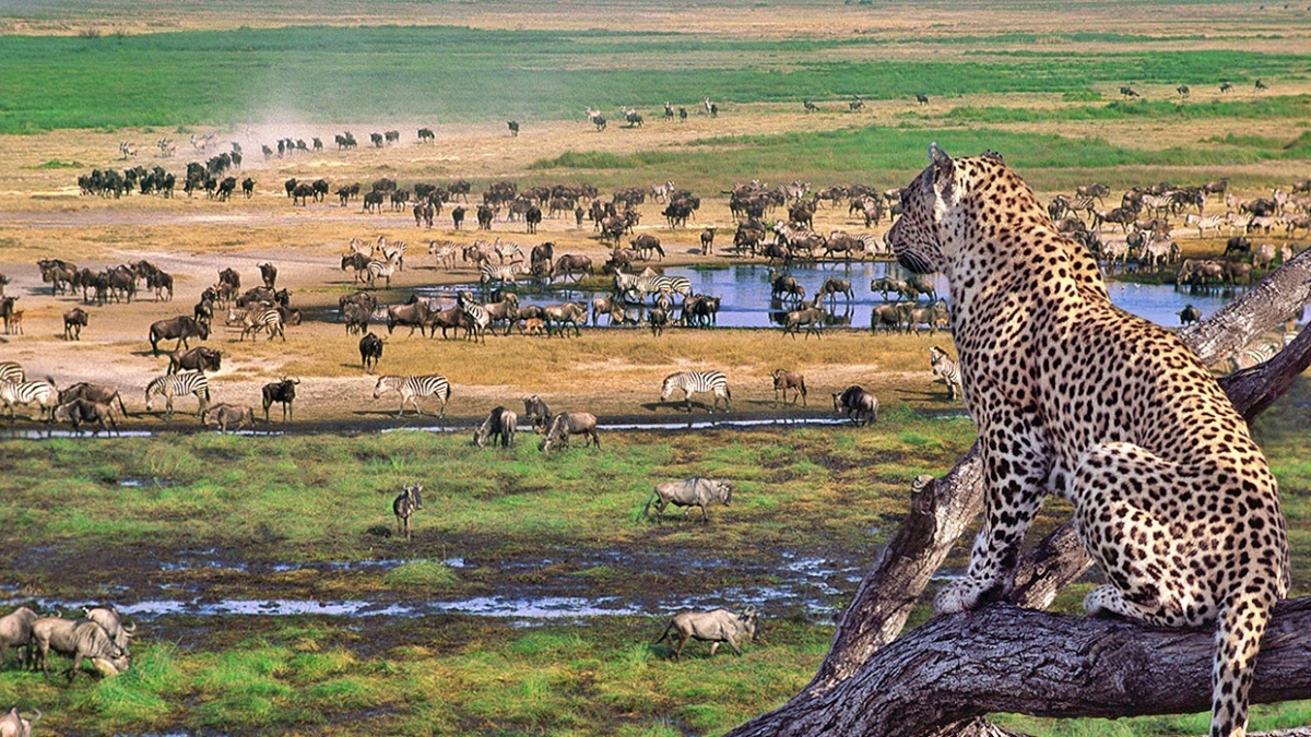 serengeti national park