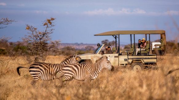 Game drives at Selous Game Reserve