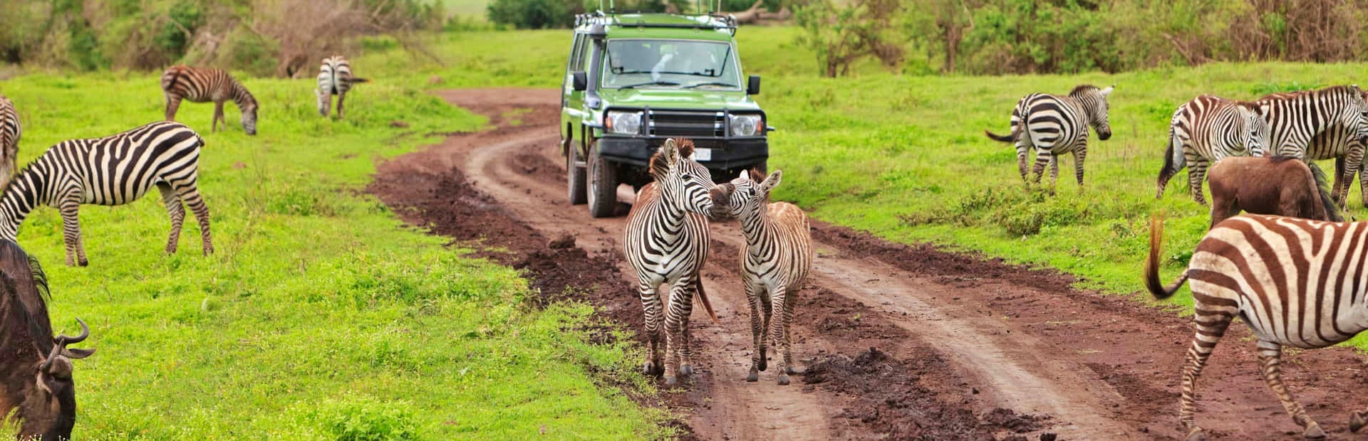 Tanzania Adventure Tours