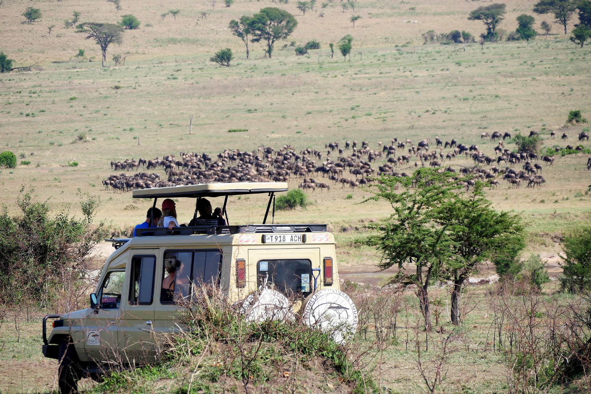 A vehicle carrying tourists on top, enjoying a game drive in the scenic landscapes of Tanzania.