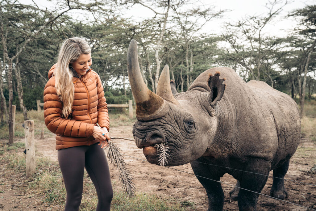 Walking Safaris In Ol Pejeta Conservancy