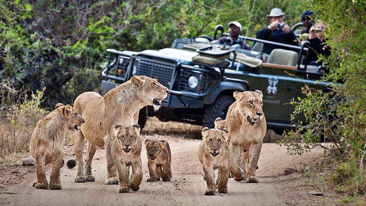 kenya safaris