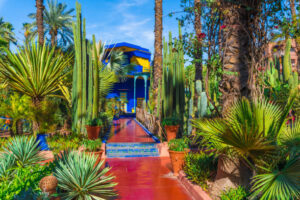 Marrakech, Morocco - November 12, 2017:Le Jardin Majorelle, amazing tropical garden in Marrakech, Morocco.