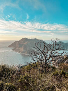Hout Bay as viewed from Chapman's Peak, South Africa