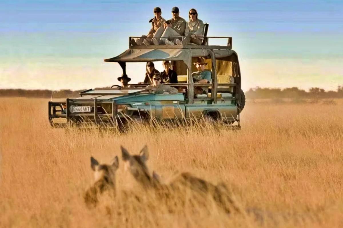 tourists enjoying game drives in kenya