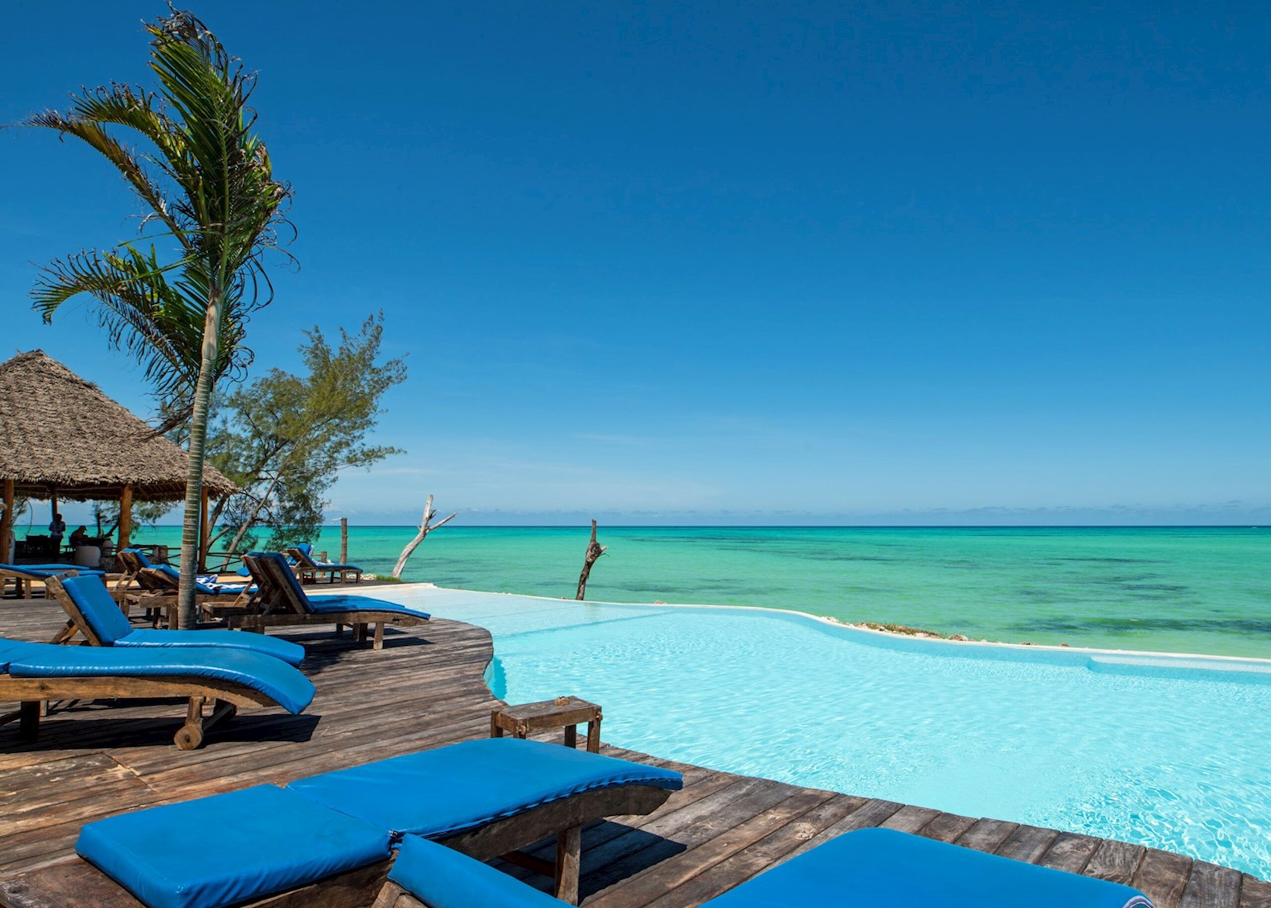 A serene wooden deck at Pongwe Beach featuring lounge chairs and a thatched roof, perfect for relaxation by the sea.