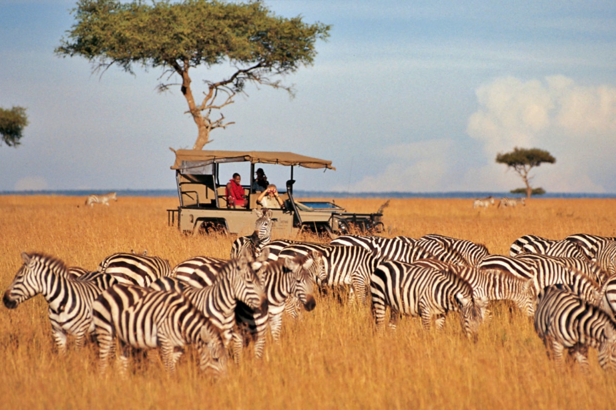 game drives in samburu National park