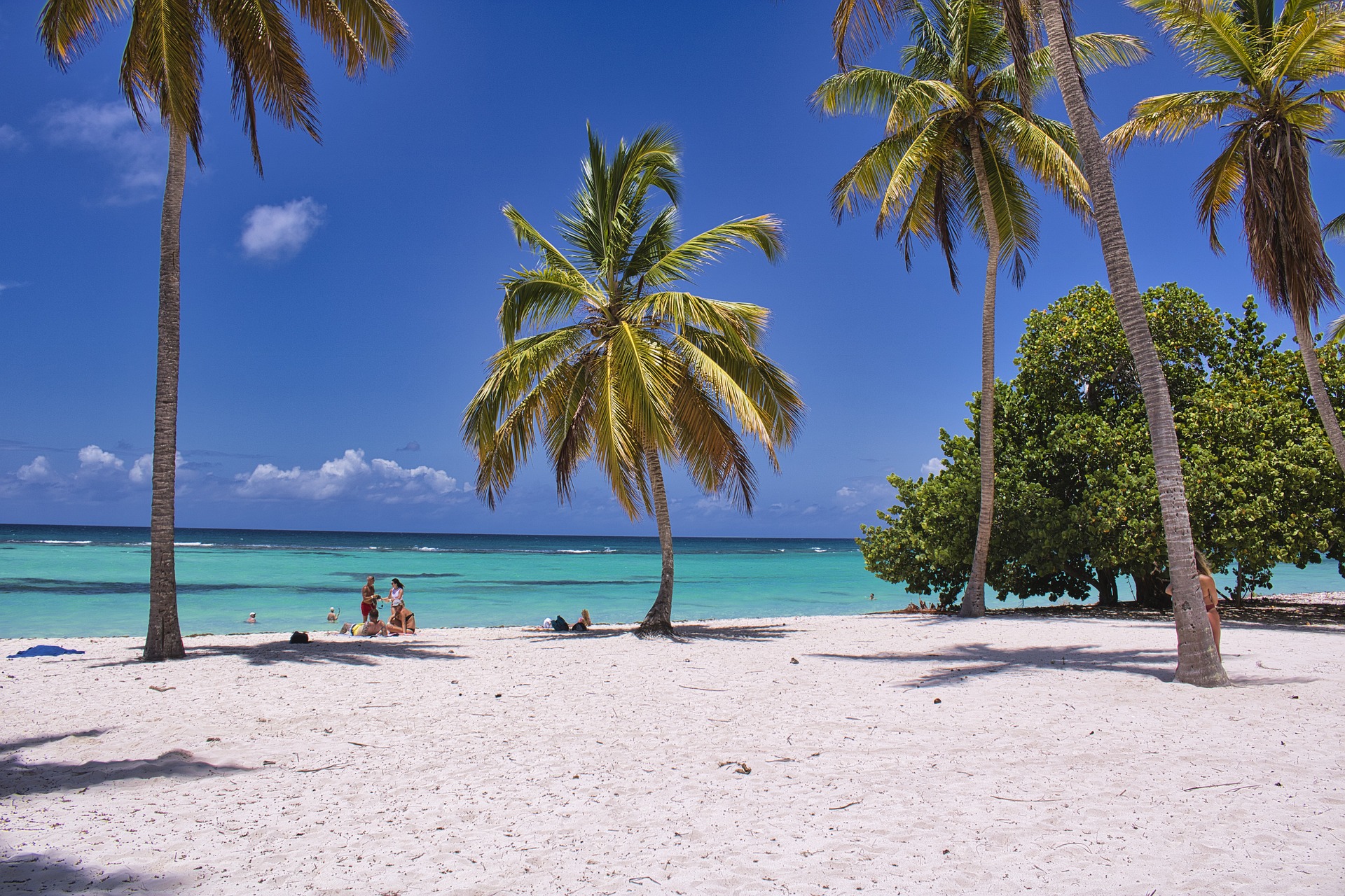 Tropical Zanzibar Beach